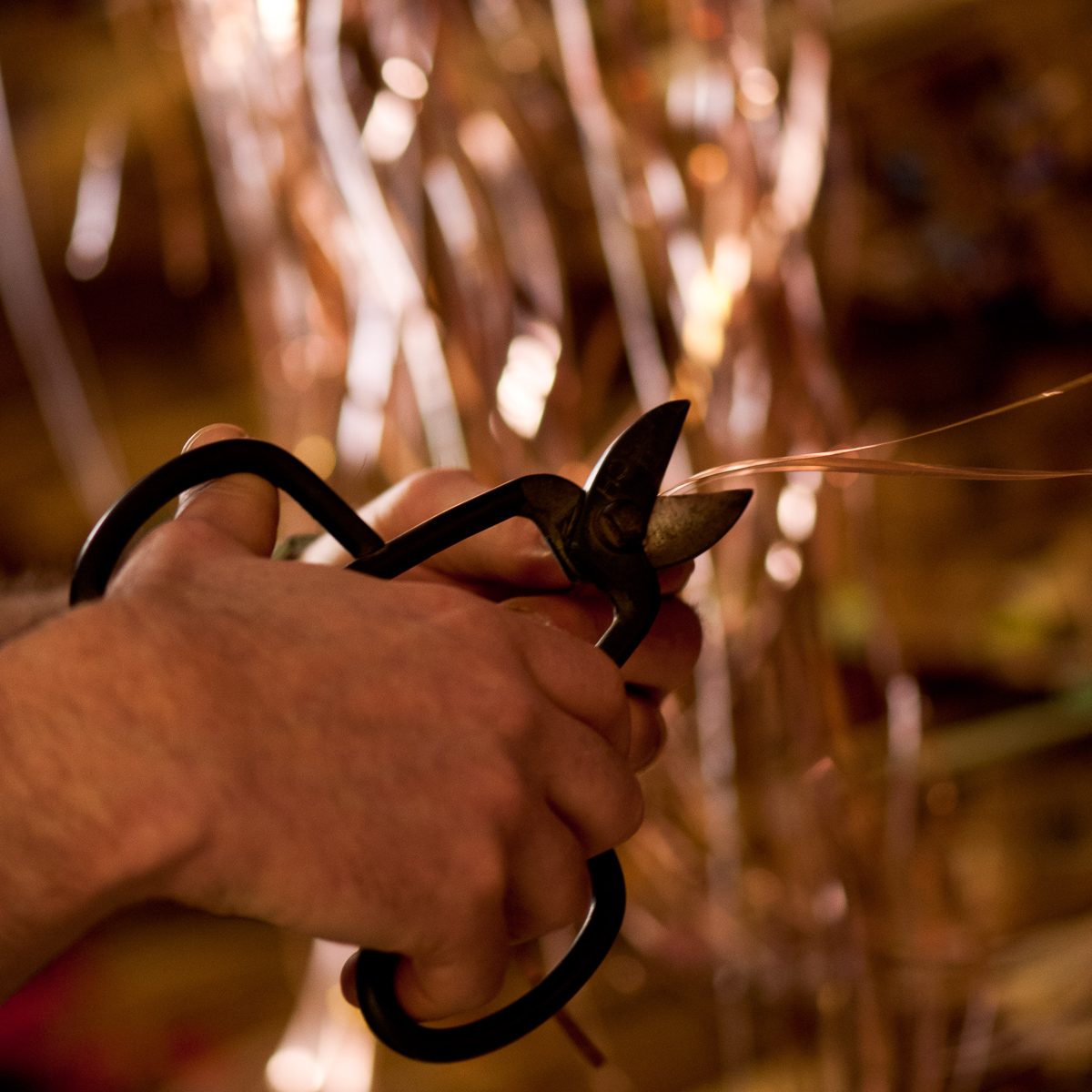 hands of design